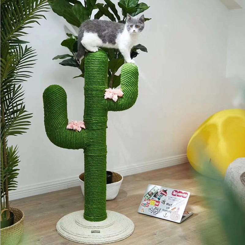 Cute Cactus Cat Climbing Frame
