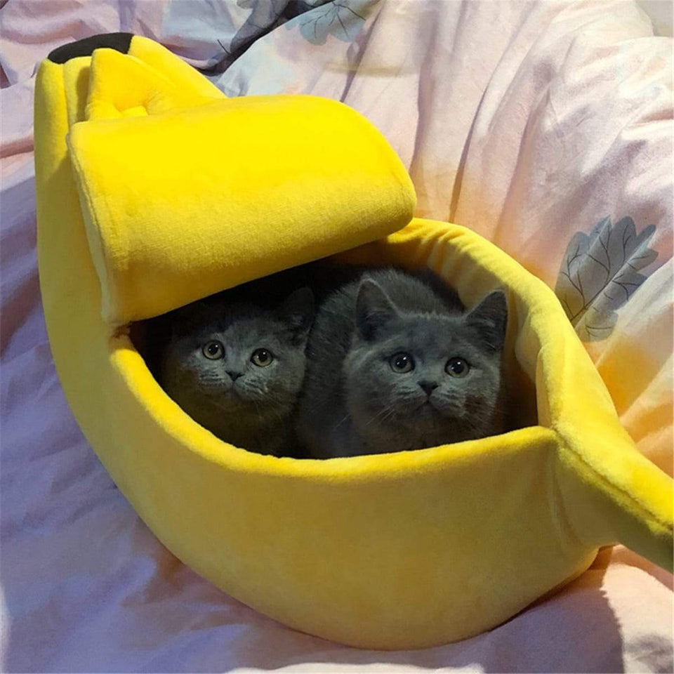 Banana Cat Bed