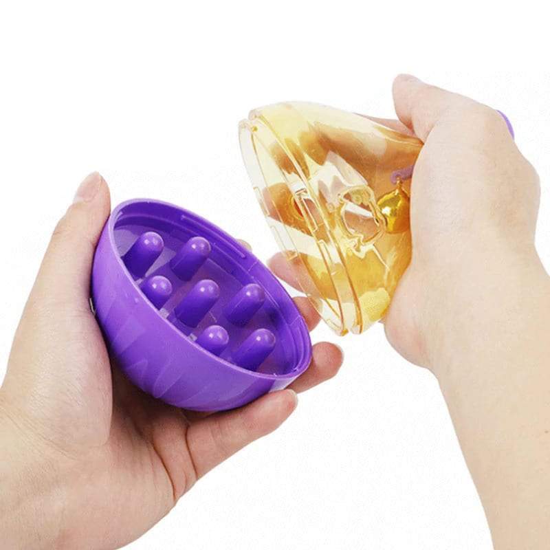 Interactive treat dispenser