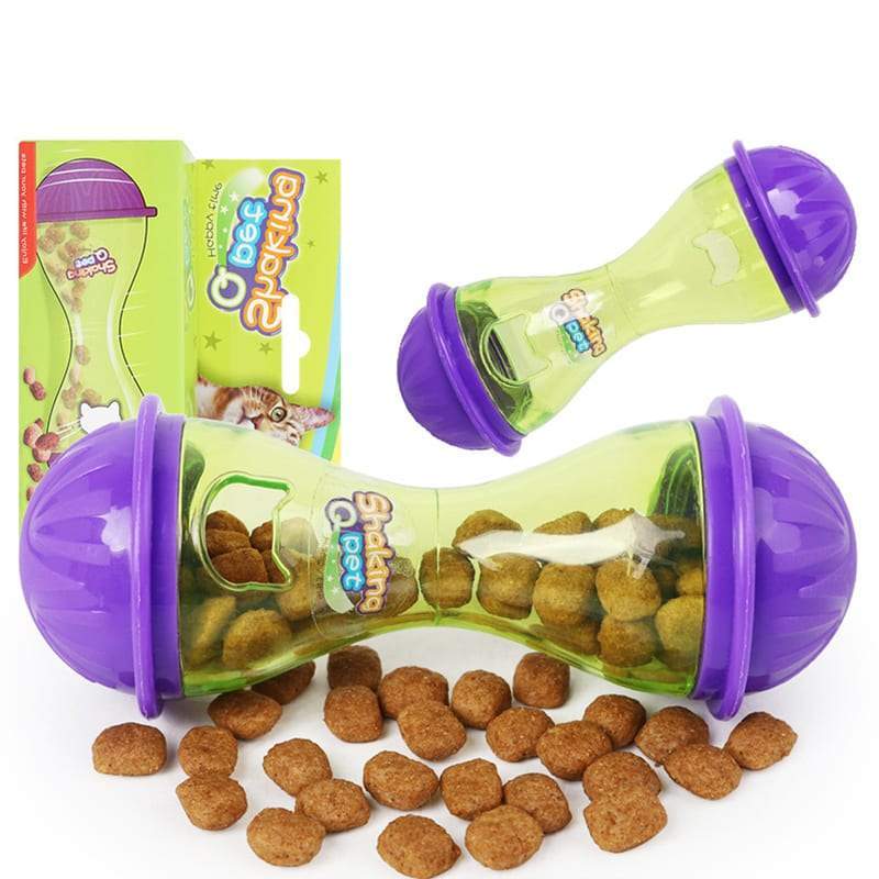 Interactive treat dispenser