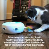 Interactive cat toy