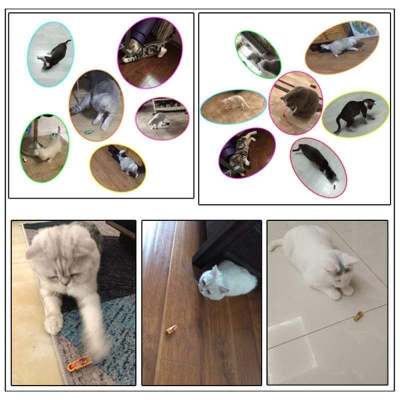 Amazing robot bug toy