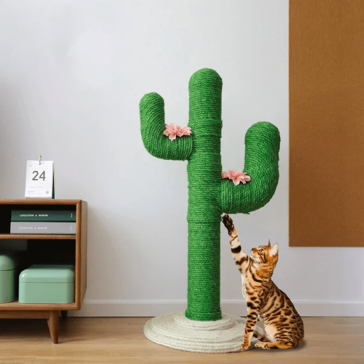 Cute Cactus Cat Climbing Frame