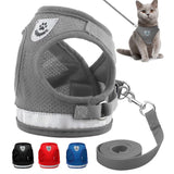 Kitten Harness and Leash Set for Cats