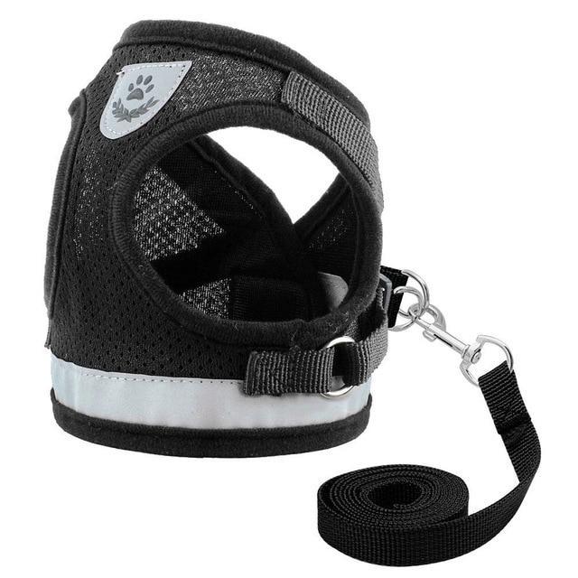 Kitten Harness and Leash Set for Cats