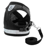 Kitten Harness and Leash Set for Cats