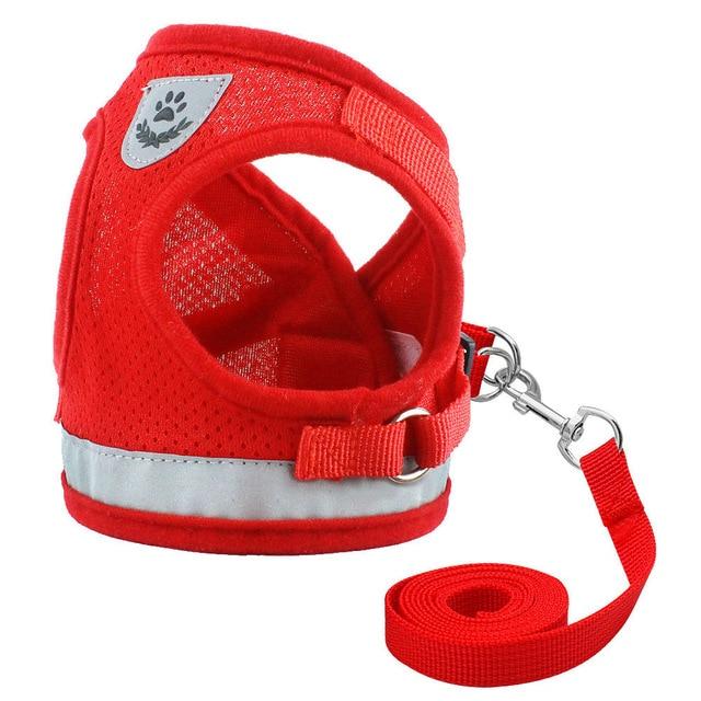 Kitten Harness and Leash Set for Cats