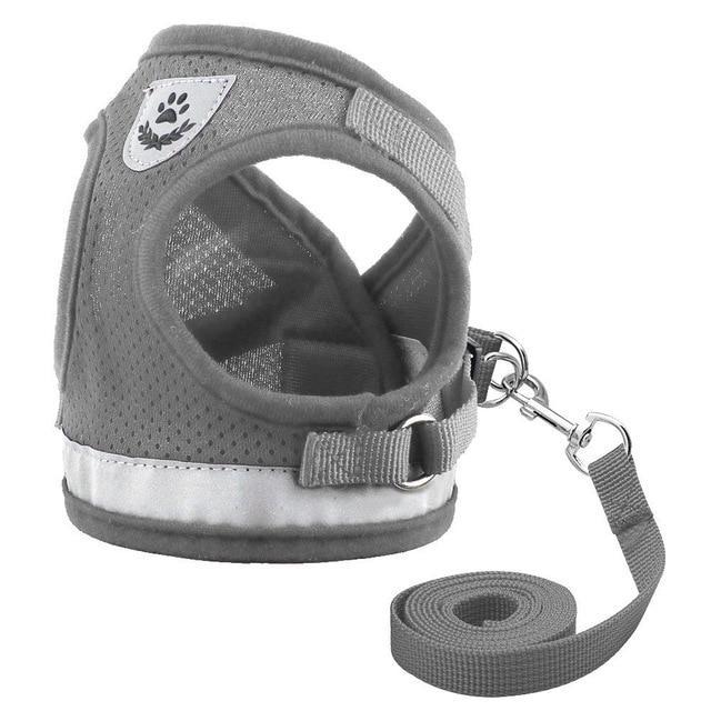 Kitten Harness and Leash Set for Cats