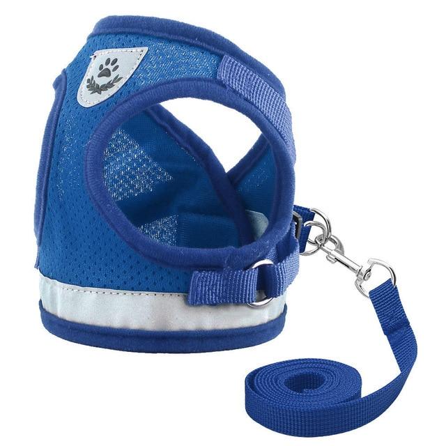 Kitten Harness and Leash Set for Cats