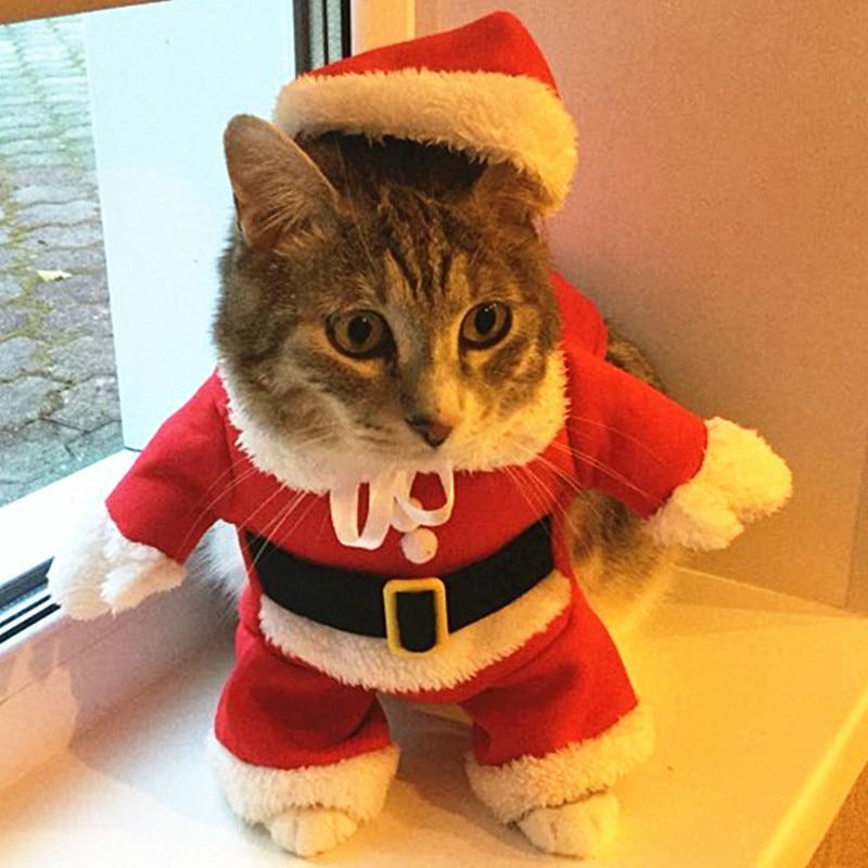 Christmas Cat Clothes