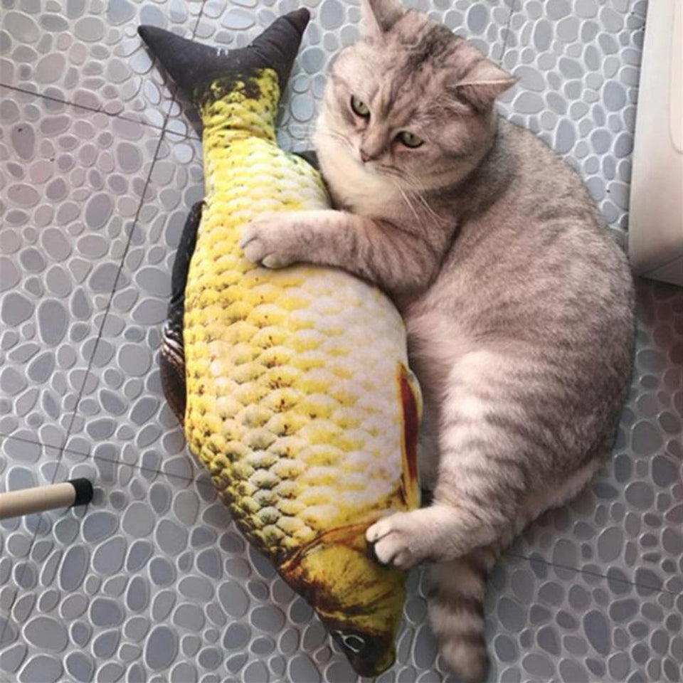 Fish Cat Toy