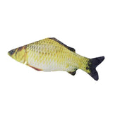Fish Cat Toy