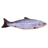 Fish Cat Toy