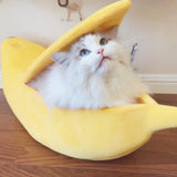 Banana Peel Cat House