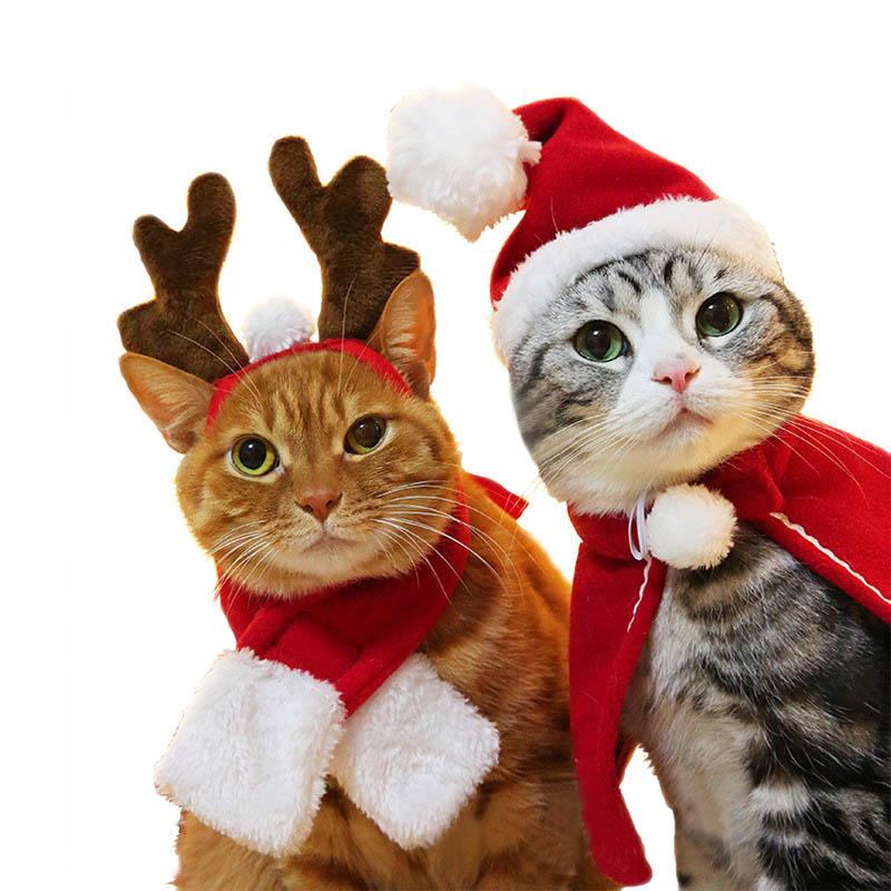 Pet Dog Cat Scarf Cap