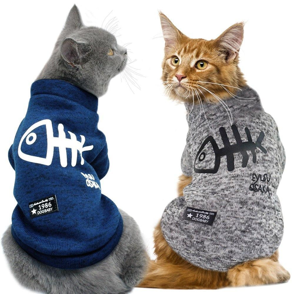 Cute Cat Clothing winter