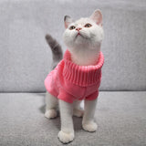 Cat ladies Clothing Winter