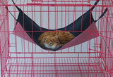 Pet Hammock